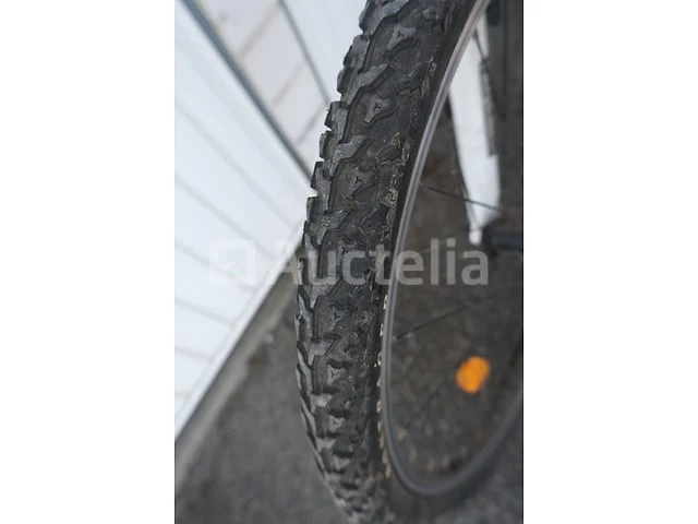 Viper bike - afbeelding 15 van  20