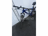 Viper bike