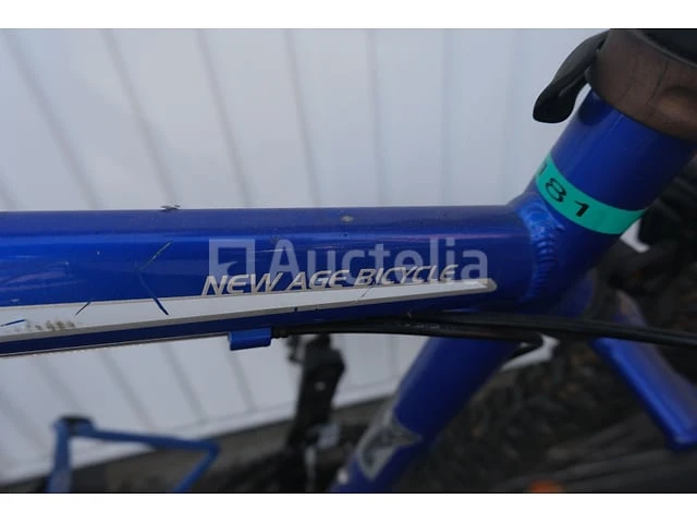 Viper bike - afbeelding 17 van  20