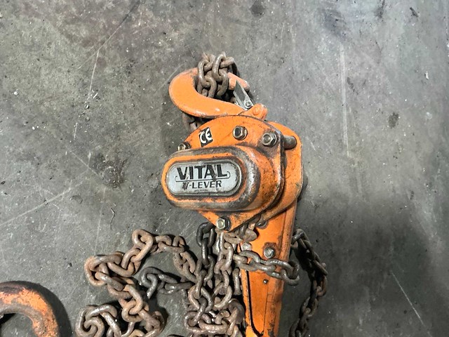 Vital rateltakel - afbeelding 3 van  4