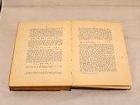 Vlaanderen algemeen vlaamsch maandschrift (1906) - afbeelding 9 van  10