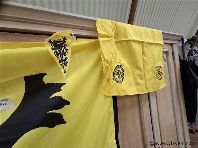 Vlag - afbeelding 3 van  3