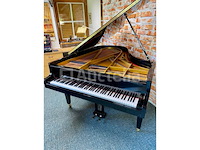 Vleugel - grotrian-steinweg - model 185 - afbeelding 1 van  10