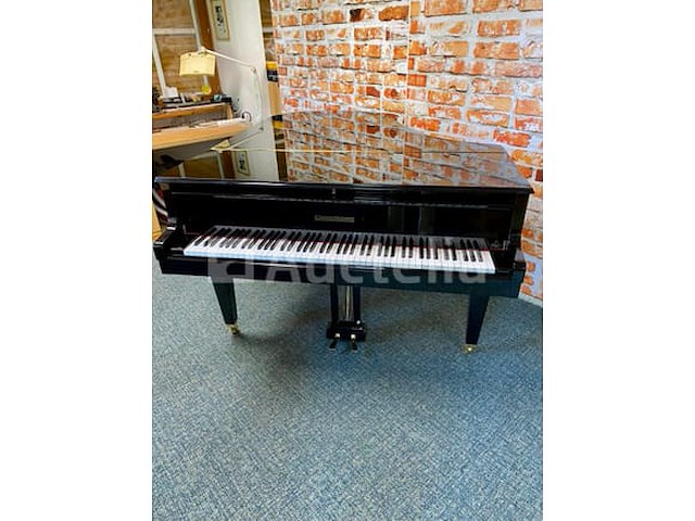 Vleugel - grotrian-steinweg - model 185 - afbeelding 3 van  10