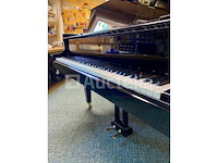 Vleugel - grotrian-steinweg - model 185 - afbeelding 4 van  10