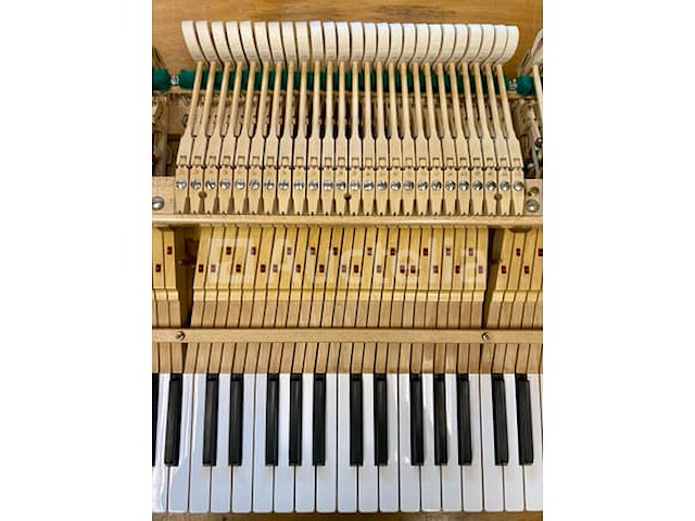 Vleugel - grotrian-steinweg - model 185 - afbeelding 6 van  10
