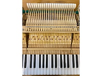 Vleugel - grotrian-steinweg - model 185 - afbeelding 6 van  10