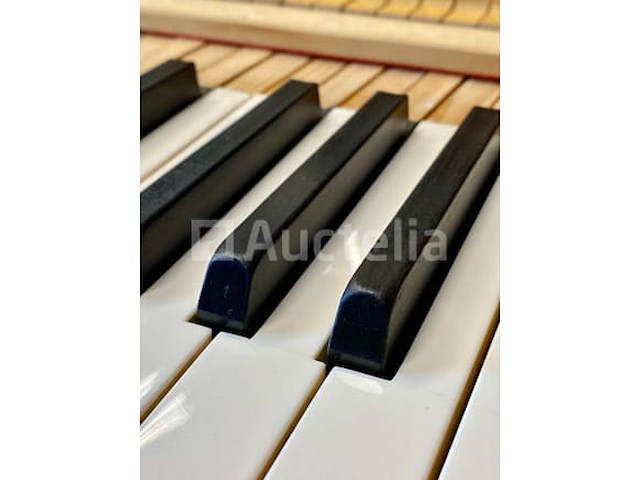 Vleugel - grotrian-steinweg - model 185 - afbeelding 8 van  10