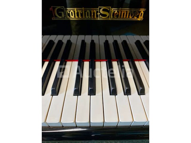 Vleugel - grotrian-steinweg - model 185 - afbeelding 10 van  10