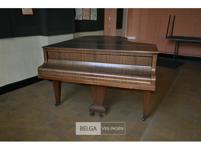 Vleugelpiano gunther - afbeelding 2 van  7