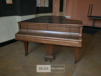 Vleugelpiano gunther - afbeelding 2 van  7