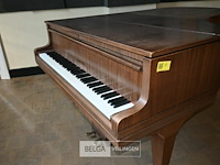 Vleugelpiano gunther - afbeelding 4 van  7
