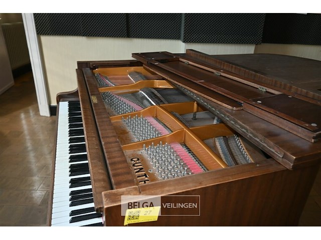 Vleugelpiano gunther - afbeelding 5 van  7