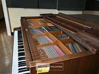 Vleugelpiano gunther - afbeelding 5 van  7