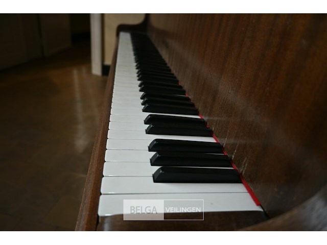 Vleugelpiano gunther - afbeelding 6 van  7