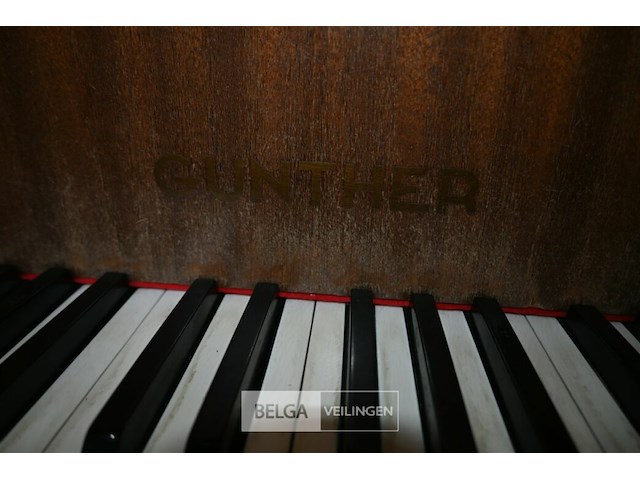 Vleugelpiano gunther - afbeelding 7 van  7