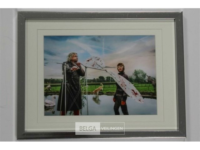 Vleugels en eveline - afbeelding 2 van  2