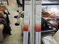 Vliegenhor - afbeelding 1 van  1