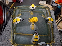 Vliegenkap - afbeelding 2 van  2