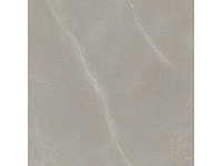 Vloertegel 115,2m² elegance taupe 120x120cm - afbeelding 4 van  6