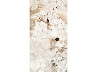 Vloertegel 151,2m² tundra glanzend 60x120cm - afbeelding 7 van  12