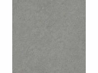 Vloertegel 162m² granietantraciet 100x100cm - afbeelding 4 van  8