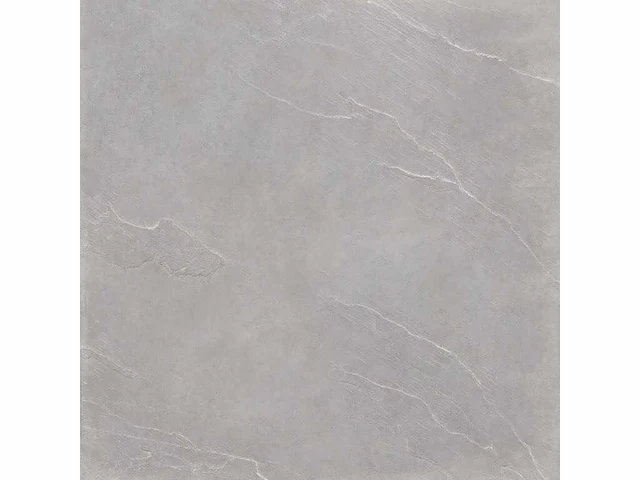 Vloertegel 162m2 stalis greige 100x100cm - afbeelding 2 van  4