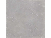 Vloertegel 162m2 stalis greige 100x100cm - afbeelding 2 van  4