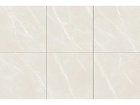 Vloertegel 172,8m² elegance ivory 120x120cm - afbeelding 2 van  7
