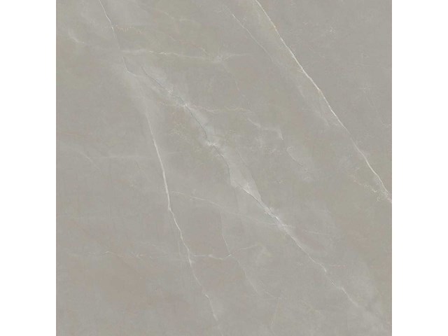 Vloertegel 172,8m² elegance taupe 120x120cm - afbeelding 5 van  6