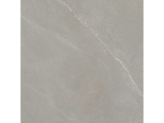 Vloertegel 172,8m² elegance taupe 120x120cm - afbeelding 2 van  6