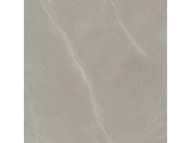 Vloertegel 172,8m² elegance taupe 120x120cm - afbeelding 4 van  6