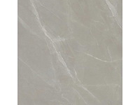 Vloertegel 172,8m² elegance taupe 120x120cm - afbeelding 6 van  6