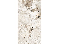 Vloertegel 172,8m² tundra glanzend 60x120cm - afbeelding 5 van  12