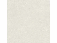 Vloertegel 194,4m² micron ivoor 90x90cm - afbeelding 9 van  9