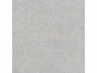 Vloertegel 194,4m² micron parel 90x90cm - afbeelding 2 van  10