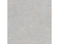 Vloertegel 194,4m² micron parel 90x90cm - afbeelding 2 van  10