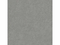 Vloertegel 216m² granito anthracite 100x100cm - afbeelding 6 van  8