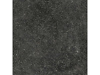 Vloertegel 43,2m² bluestone black 60x60cm - afbeelding 2 van  6