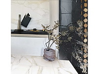 Vloertegel 43,2m² calacatta gold mat 60x120cm - afbeelding 7 van  7