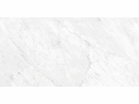 Vloertegel 43,2m² marmer wit glanzend 60x120cm gelijkgetrokken - afbeelding 13 van  16