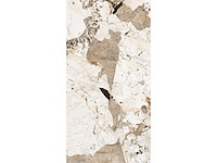 Vloertegel 43,2m² tundra glanzend 60x120cm - afbeelding 5 van  5