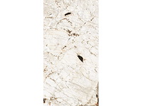 Vloertegel 43,2m² tundra glanzend 60x120cm - afbeelding 9 van  12