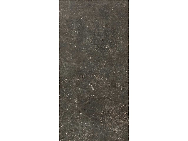 Vloertegel 53,76m² bluestone desire 40x80cm gerectificeerd - afbeelding 10 van  16