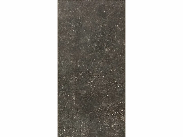 Vloertegel 53,76m² bluestone desire 40x80cm gerectificeerd - afbeelding 7 van  15