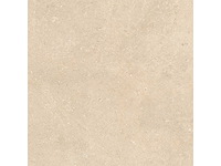 Vloertegel 57,6m² dordogne 120x120cm gerectificeerd - afbeelding 7 van  9