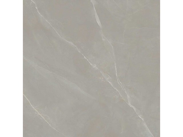 Vloertegel 57,6m² elegance taupe 120x120cm - afbeelding 3 van  6