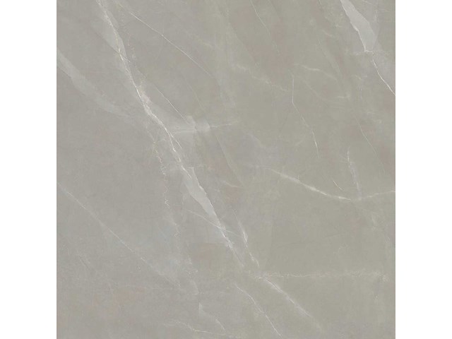 Vloertegel 57,6m² elegance taupe 120x120cm - afbeelding 6 van  6
