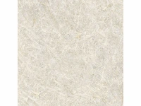 Vloertegel 57,6m² kristal natuurlijk 120x120cm - afbeelding 10 van  10