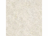 Vloertegel 57,6m² kristal natuurlijk 120x120cm - afbeelding 7 van  10